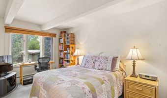 124 W Hyman Ave 3B, Aspen, CO 81611