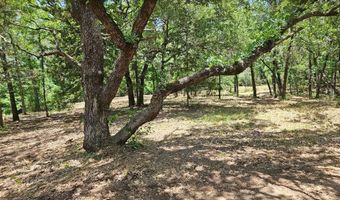 140 Rolling Bnd, Alvord, TX 76225