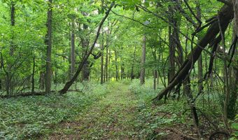 65 Acres 107th Ave, Allegan, MI 49010