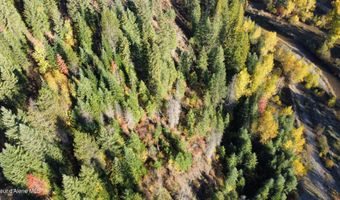 NKA N Side Rd, Calder, ID 83808
