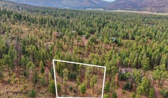 14 County Rd 2074, Alpine, AZ 85920