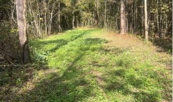 104 Acres Wesson Gap Rd, Attalla, AL 35954