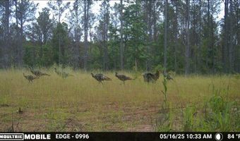 Highway 9N, Banner, MS 38913