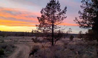 Cathy Way lot 21-23, Beatty, OR 97621