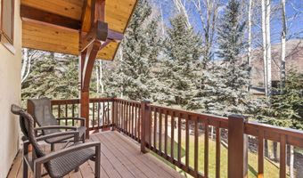 824 Bonita Dr, Aspen, CO 81611