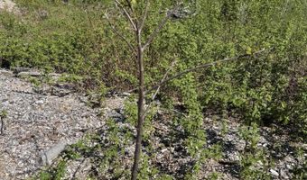 Route 9 lot 13, Aurora, ME 04428