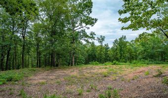 100 Block SPANISH MINE, Jessieville, AR 71909