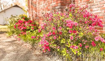 4319 GREENBRIER DEAR Rd, Anniston, AL 36207