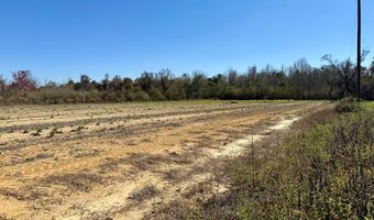 2 5 Acres GarrettRoad, Ashford, AL 36312
