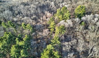 271 18 Acres Zwettler/Foster Rd, Arena, WI 53503