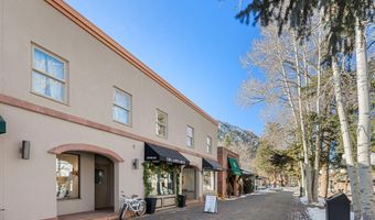 447 E Cooper Ave 1, Aspen, CO 81611