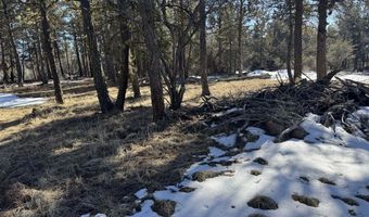 Golden Eagle Drive 30, Bonanza, OR 97623
