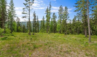 14051 Big Rock Way, Bigfork, MT 59911