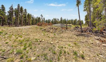 52 Meadowlake Dr, Black Hawk, CO 80422