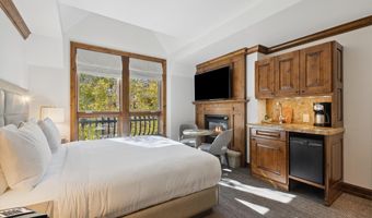 415 E Dean St. # 32 Wk 9, Aspen, CO 81611