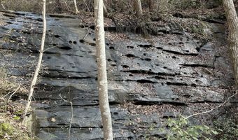 Highway 105, Baldwin, GA 30511