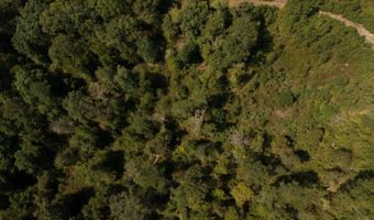 0 Nick Creek Rd, Bernice, LA 71222