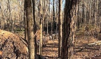 1114 Reedy Creek Rd, Bradley, SC 29819