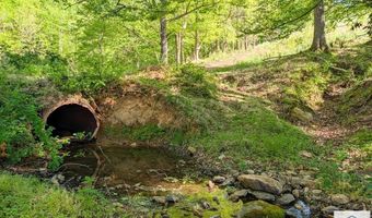 1619 Squirrel Creek Rd, Ararat, VA 24053