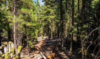 8735 Bering Rd, Alturas, CA 96101