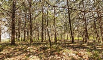TBD 194th Avenue, Argyle, IA 52619
