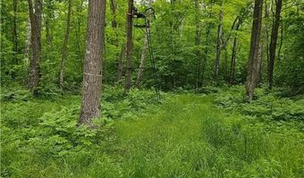 0000 280th Pl, Aitkin, MN 56431