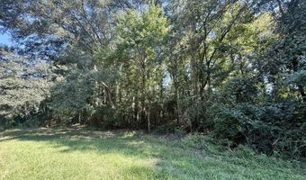 Tbd Williams, Brookhaven, MS 39601