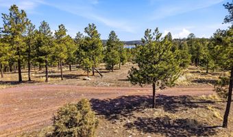 N2147, Alpine, AZ 85920