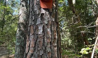 4496 State Hwy 130, Banks, AL 36005