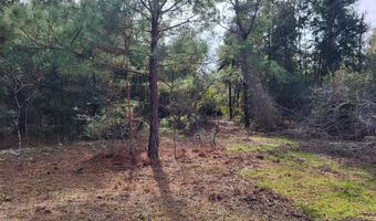NW Tommy Tucker Road lot 1, Altha, FL 32421
