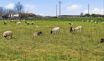 5520 Rd 42, Alpaugh, CA 93201