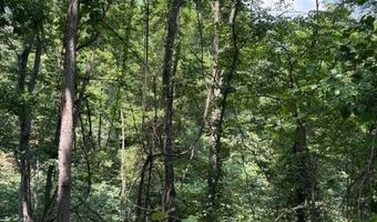 FOX RUN lot 24A 3.22 Ac, Baker, WV 26801