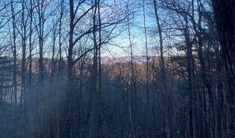 Tbd Strawberry Branch, Scaly Mountain, NC 28775