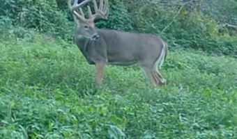 Lot 4 Prairie View Road, Argyle, WI 53504