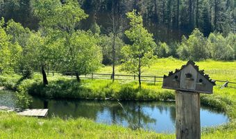 127 Lonely Moose Ln, Alberton, MT 59820