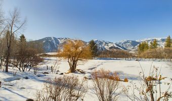 209 E Reds Rd, Aspen, CO 81611