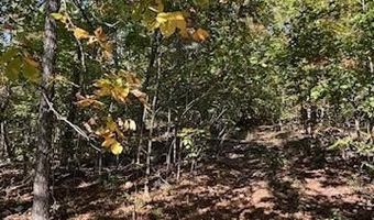 County Road 118, Annapolis, MO 63620