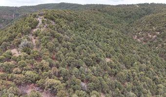 County Rd. 312.1 lot 127, Aguilar, CO 81020