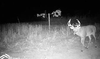 560 Th Ave, Albia, IA 52531