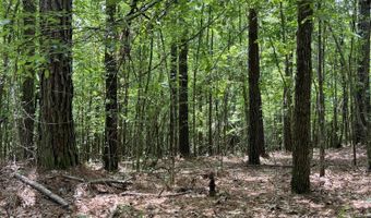 60150 N Harmony Rd, Amory, MS 38821