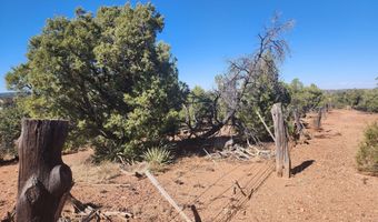 Tbd State Route 260, Clay Springs, AZ 85923