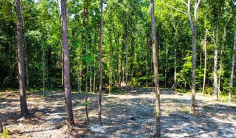 0 Backway Rd, Lincolnton, GA 30817