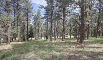 Lot 1311 San Pedro Dr, Angel Fire, NM 87710