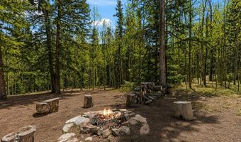 366 Quartzville Rd, Alma, CO 80420