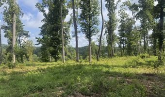 Tract 1 Mill Creek Rd, Andersonville, TN 37705