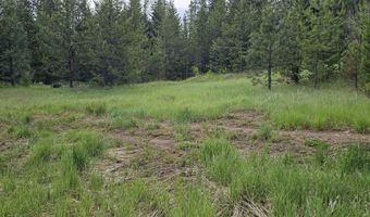23 Sawtooth Loop, Cascade, ID 83611