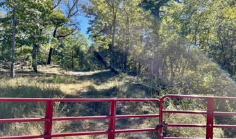 1011 Granny Hollar Rd, Atkins, AR 72823