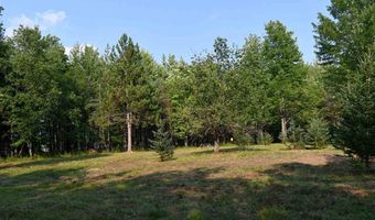 9537 LAKEVIEW, Alanson, MI 49706