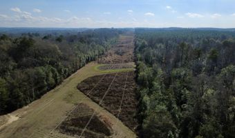 County Road 72, Ariton, AL 36311