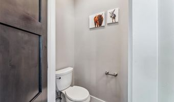 255 FLANNIGAN Cir, Alma, CO 80420